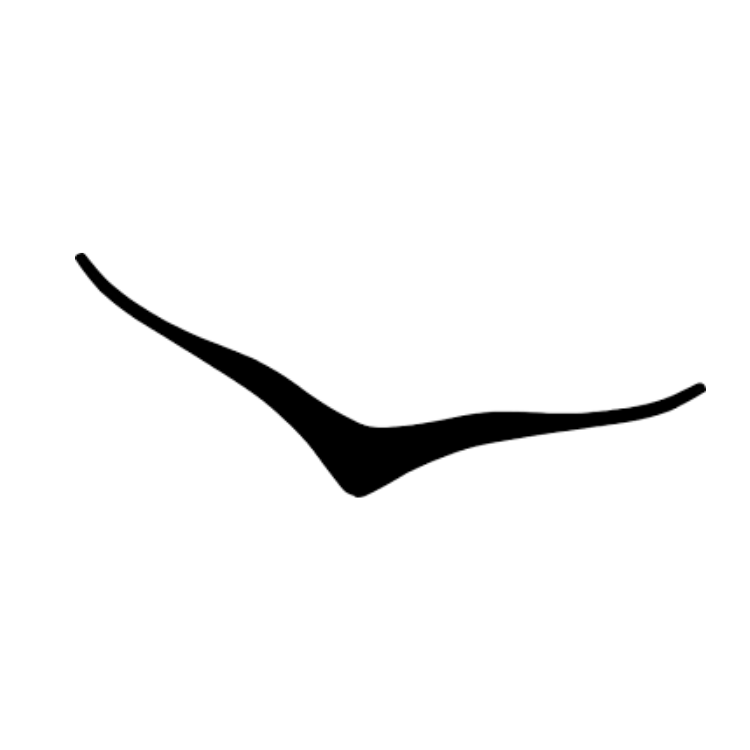 Hoka
